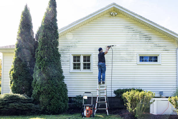 Best Roof Cleaning and Mildew Removal in Lubbock, TX